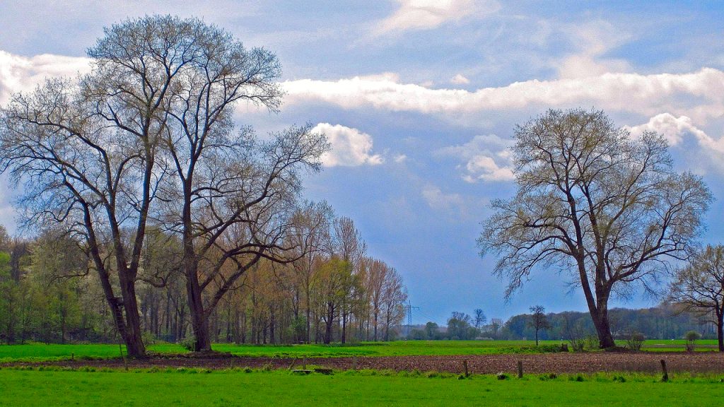 Uglavnom suvo i malo vedrije Uglavnom suvo i malo vedrije, ilustracija (Foto Pixabay)