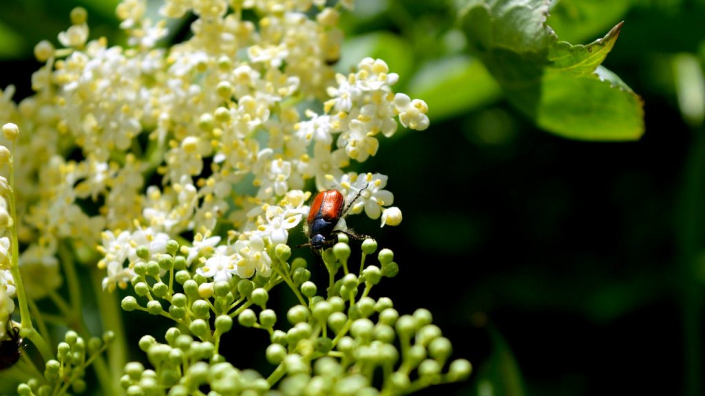 Vetrovito i uglavnom suvo Vetrovito i uglavnom suvo, ilustracija (Foto Pixabay)