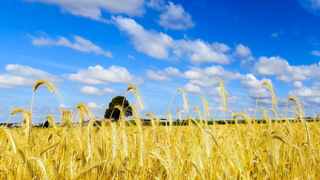 Najtopliji dan u nedelji, ilustracija (Foto Pixabay)
