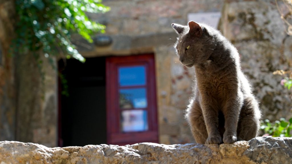 Pretežno sunčano i toplo, ilustracija (Foto Pixabay)