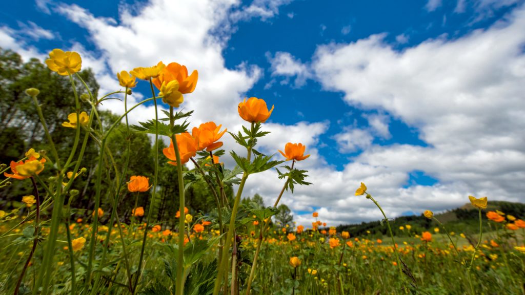 Promenlјivo oblačno i malo svežije, ilustracija (Foto Pixabay)