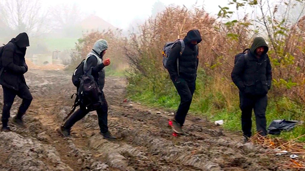 Vulinova vizija, EU readmisija i bivša Jugoslavija Vulinov zakon o državljanstvu, EU readmisija i pitanje biračkog tela Srbije, ilustracija (Foto N1)