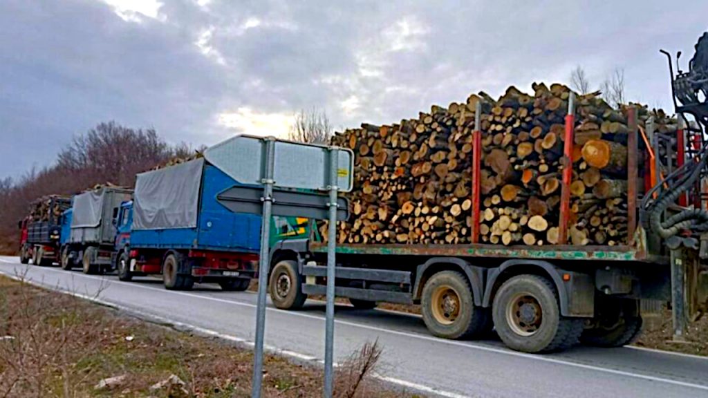 Bespravna seča šuma česta pojava u pojasu između Srbije i Kosova - zaplenjeni kamioni sa drvima, ilustracija (Foto Kosovska policija)