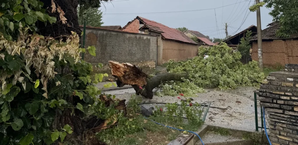 Snažno nevreme pogodilo opštinu Peć: Vetar nosio krovove, grad i oluja opustošili useve u Goraždevcu (Foto Radio Goraždevac)