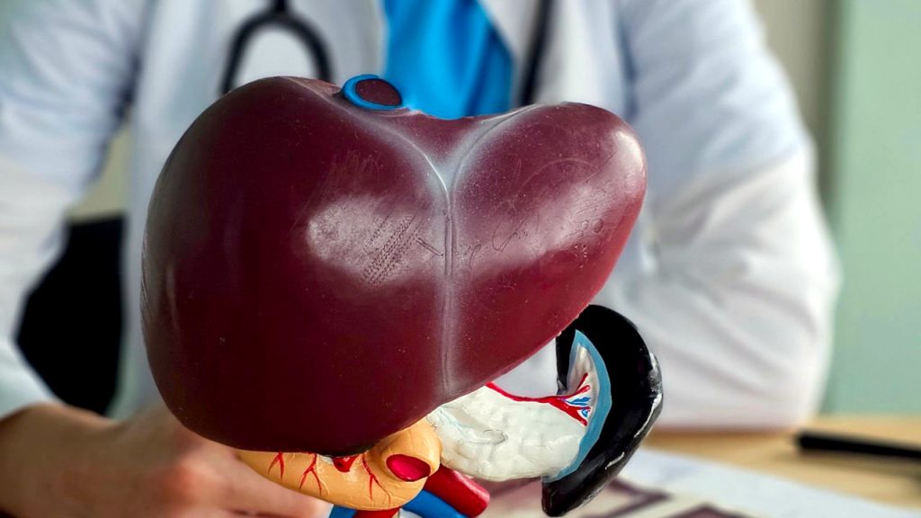 Svetski dan borbe protiv hepatitisa obeležava se 28. jula uz poziv na rano testiranje, ilustracija (Foto iStock)