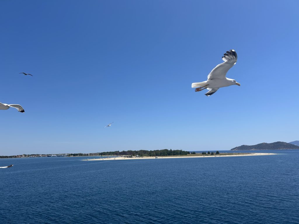 Sunčana i topla nedelja, povremeno uz oblake Sunčana i topla nedelja, povremeno uz oblake